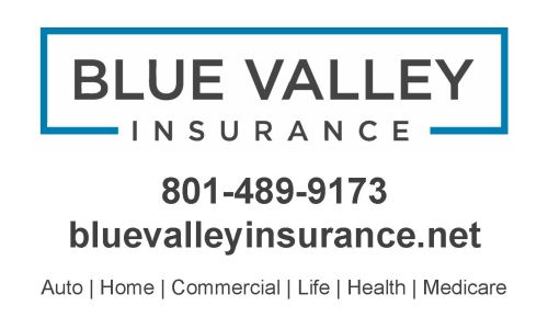 Blue Valley Insurance